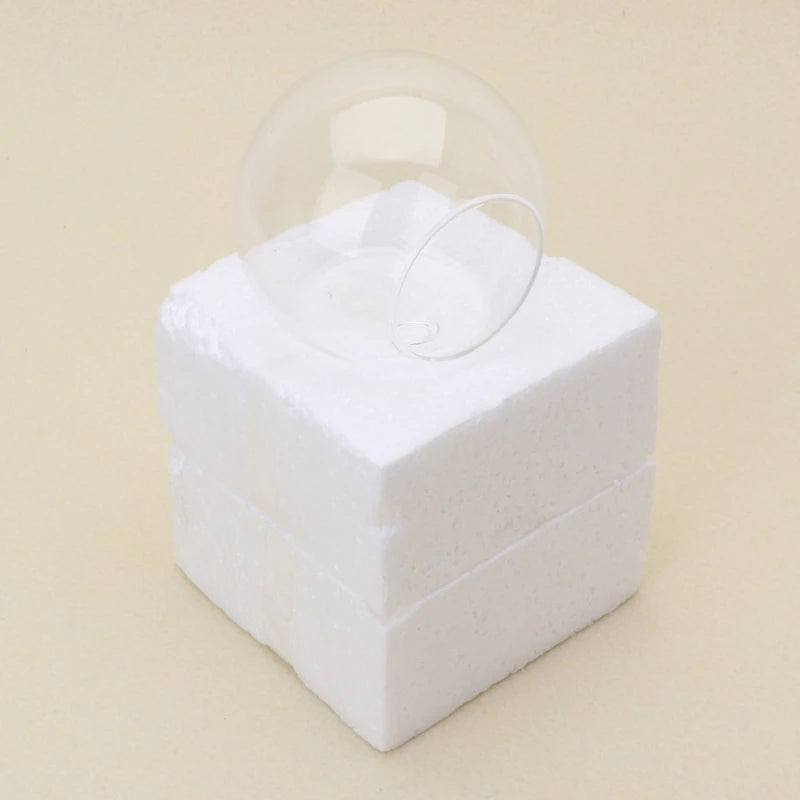8cm/10cm/12cm Wall Hanging Hydroponic Glass Vase Small Hanging Fish Tank Wall Mount Glass Vase Landscape Decoration