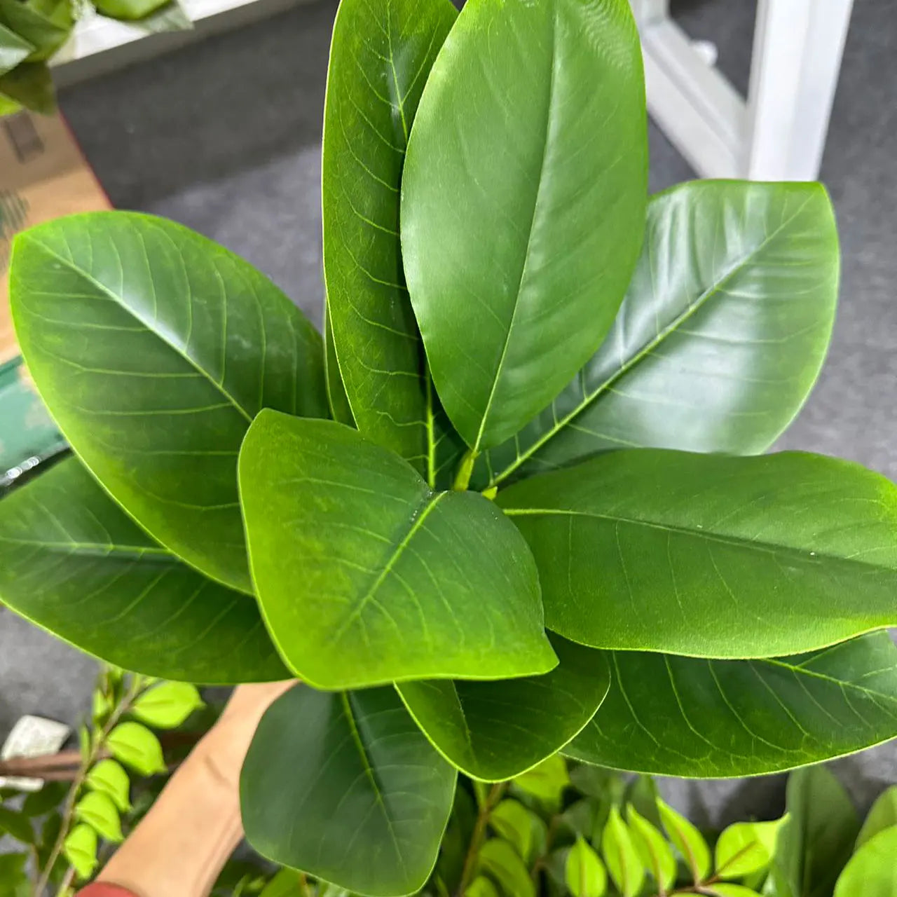 70/135cm Artificial Ficus Tree Branches Large Banyan Leaves Fake Rubber Plant Plastic Tall Plant Landscape For Home Garden Decor